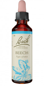 Bach Flower Beech 20ml