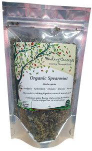 Healing Concepts Organic Spearmint Tea 30g