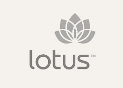 lotus