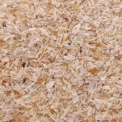 psyllium husk