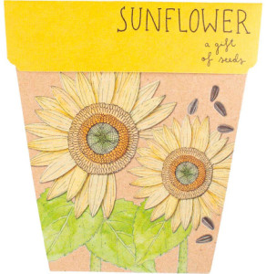 Sow 'N Sow Gift of Seeds Sunflower