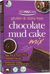 YesYouCan Chocolate Mud Cake 550g